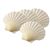 Natural Scallop Shell Set