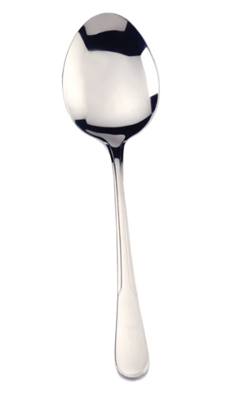Stainless Serving Spoon 9 Inch