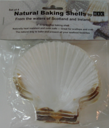 Natural Scallop Shell Set